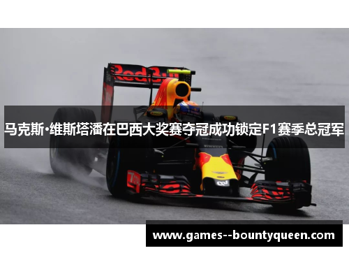 马克斯·维斯塔潘在巴西大奖赛夺冠成功锁定F1赛季总冠军